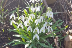 20190323_111630_2